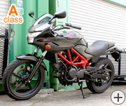 �z���_�@�u�s�q�Q�T�O 250cc