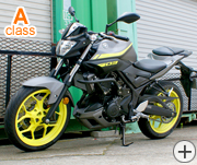 ���}�n�@MT-300 300cc